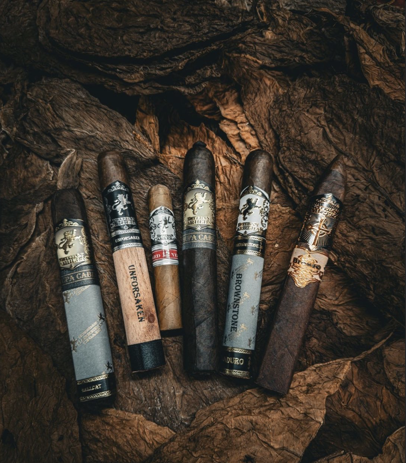 A lineup of Esteban Carreras cigars arranged on dark tobacco leaves
